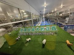-蒙牛工业旅游景区