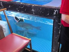 -川流不息·地道川菜·小龙虾(新松江路店)