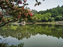 -三水森林公园