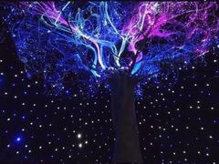 -重庆梵高星空艺术馆(解放碑旗舰店)
