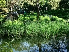 -太阳宫公园