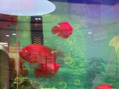 -雅悦齿科(顾村公园店)