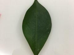 -老同盛(昌里路店)