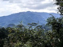 -麦积山温泉