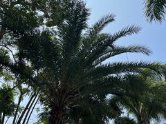 -三亚蜈支洲岛旅游区