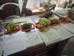 -马陆小张葡萄园农家乐