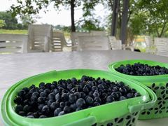 -金谷域澳洲庄园