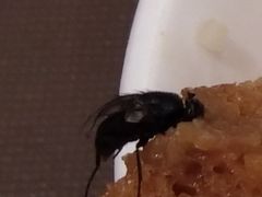 -金汇酒楼(中山东区店)
