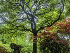 -申粤轩酒楼·三十年粤菜经典(丁香花园店)