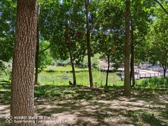 -大兴滨河森林公园