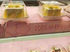 -甜星Star·生日蛋糕(百盛店)