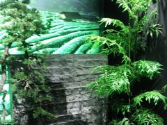 -湘邻呷铺·田园家宴(汉基广场店)