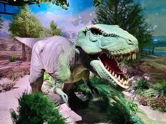 -国家自然博物馆