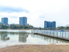 -美兰湖景区