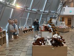 -济州岛泰迪熊博物馆