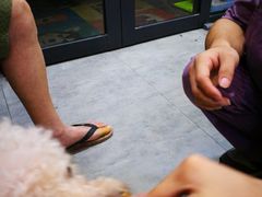 -严国平动物医院(德政总院)