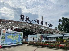 -紫颐香薰山谷景区