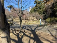 -井之头恩赐公园