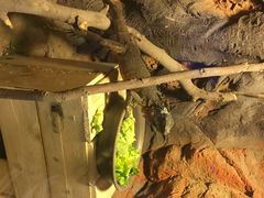 龙门海洋馆-洛阳龙门海洋馆