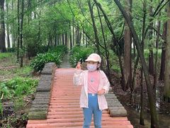 -东湖落雁景区