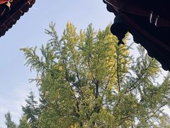 -成都市文殊院