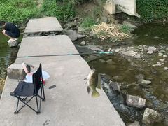 -重庆彩云湖湿地公园