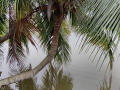 -白沙门生态公园