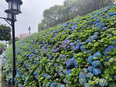 -苏州上方山国家森林公园