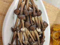 -好彩猪肚鸡(正弘城店)