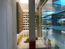 点击看大图 -汉棠汉方·美肤调体