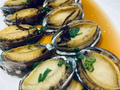 -海港酒家(上水新丰店)