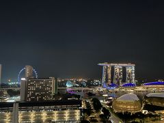 -新加坡瑞士史丹福酒店