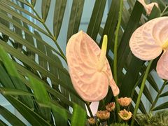 -南堂馆·新川菜(春熙路店)