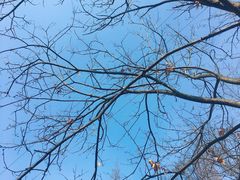 -兴福老面馆(寺路街店)