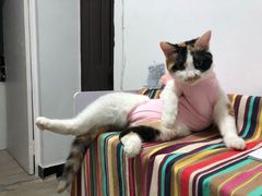 -萌兽医馆·绝育·24小时内科·宠物医院(德胜店)