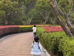 -同里国家湿地公园