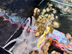 -日丰园海肠水饺·老字号大连海鲜(银泰城店)