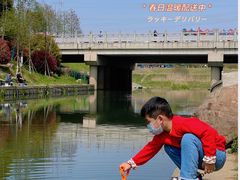 -羊山湖公园