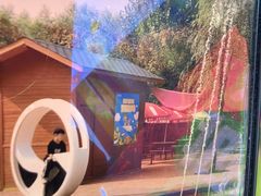 -西部长青自然儿童乐园