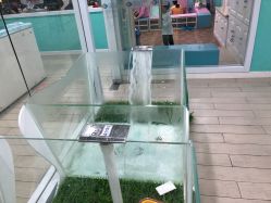 -鱼乐贝贝婴幼儿水育馆(星汇广场店)