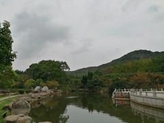 -白马涧龙池景区