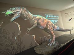 -自贡恐龙博物馆