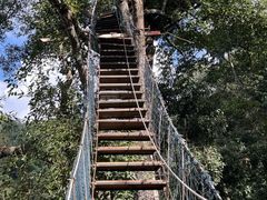 -清迈丛林飞跃 JungleFlight