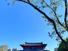 -长白岛森林公园