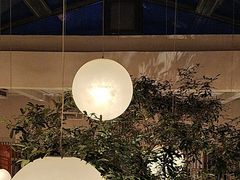-馋嘴猫北京食堂·烤鸭·宵夜(亚运村店)