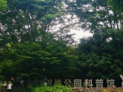 -同里国家湿地公园
