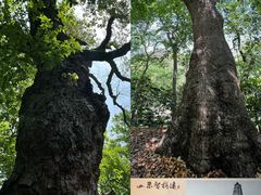 -六和塔文化公园