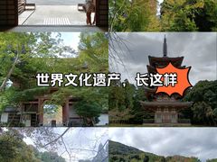 -醍醐寺