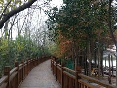 -溱湖国家湿地公园