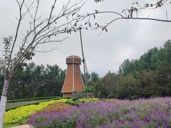 -金卉庄园
